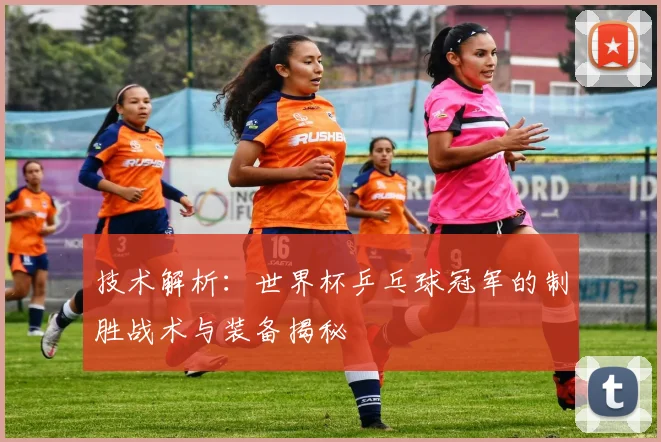 技术解析：世界杯乒乓球冠军的制胜战术与装备揭秘