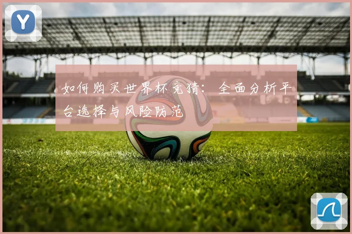 如何购买世界杯竞猜:全面分析平台选择与风险防范