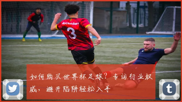 如何购买世界杯足球?专访行业权威,避开陷阱轻松入手
