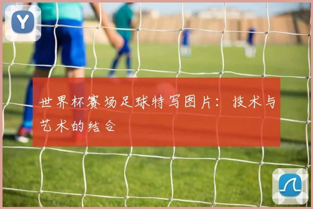 世界杯赛场足球特写图片：技术与艺术的结合