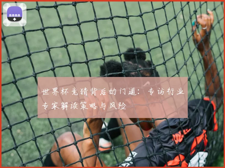 世界杯竞猜背后的门道:专访行业专家解读策略与风险