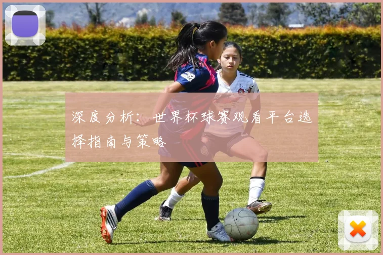深度分析:世界杯球赛观看平台选择指南与策略