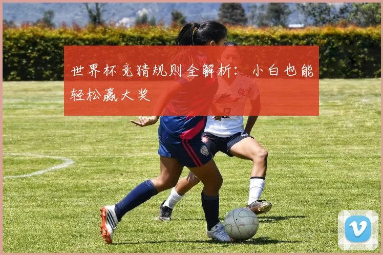 世界杯竞猜规则全解析:小白也能轻松赢大奖