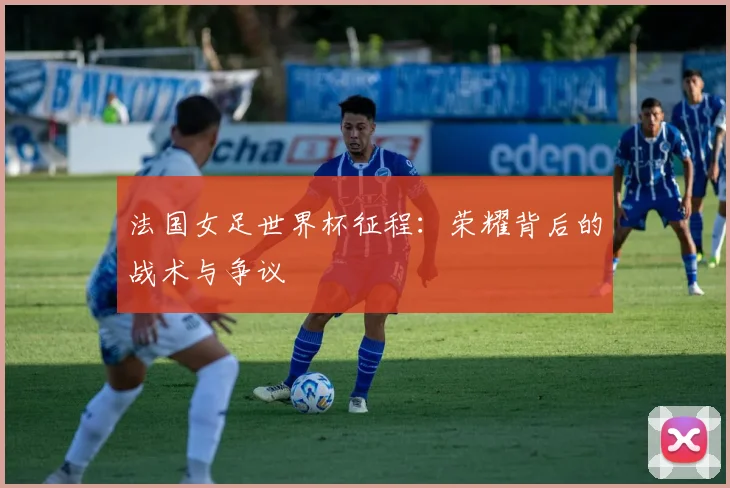法国女足世界杯征程：荣耀背后的战术与争议